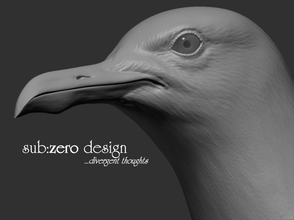 3d-modeling-seagull-face