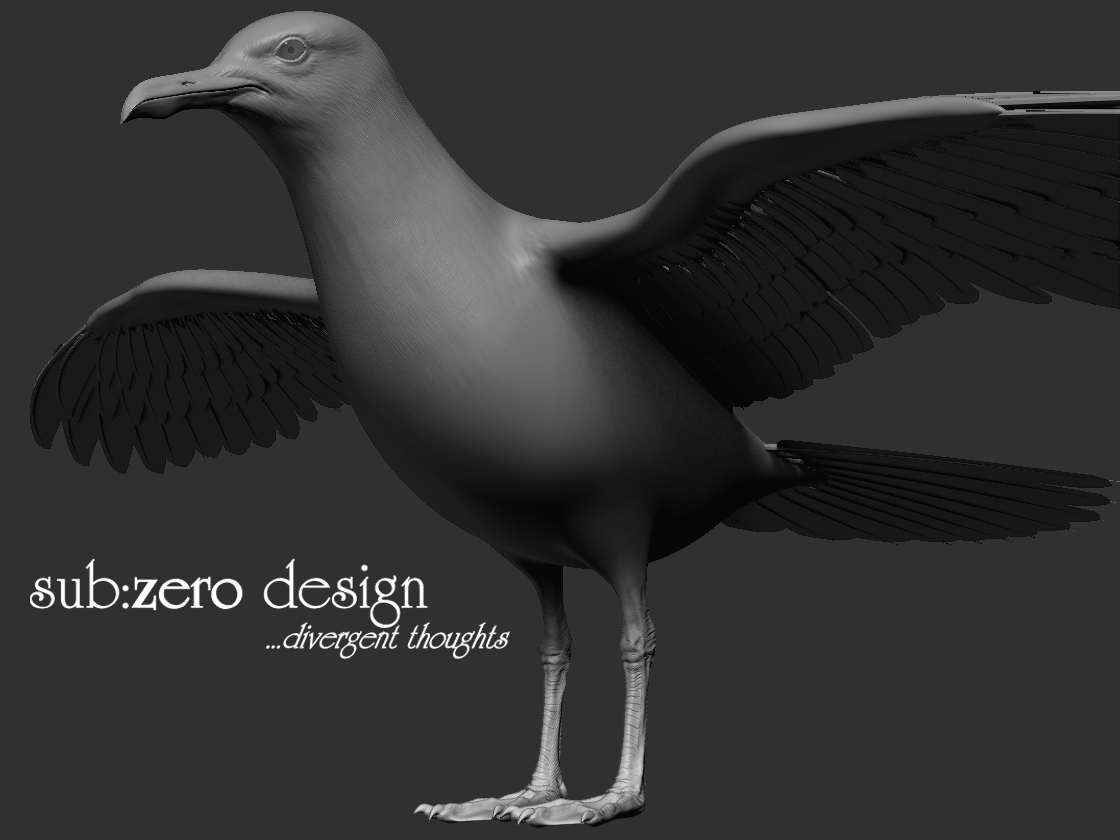 3d-modeling-seagull-whole