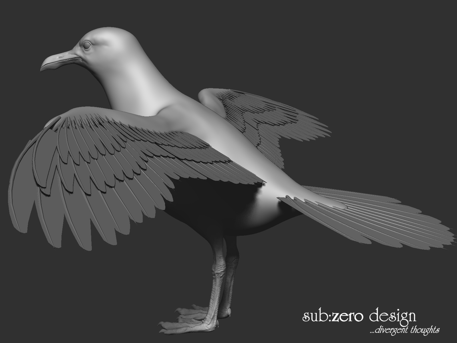 3d-modeling-seagull-wings-2