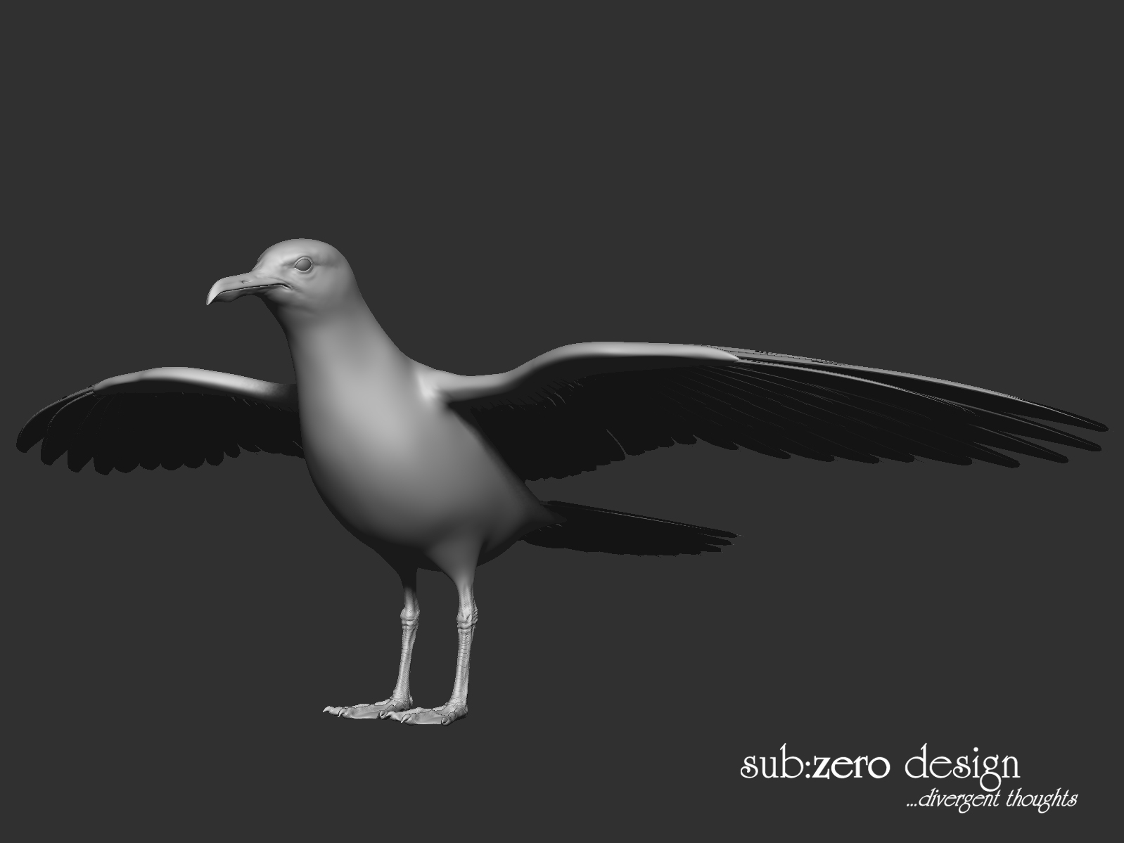 3d-modeling-seagull-wings