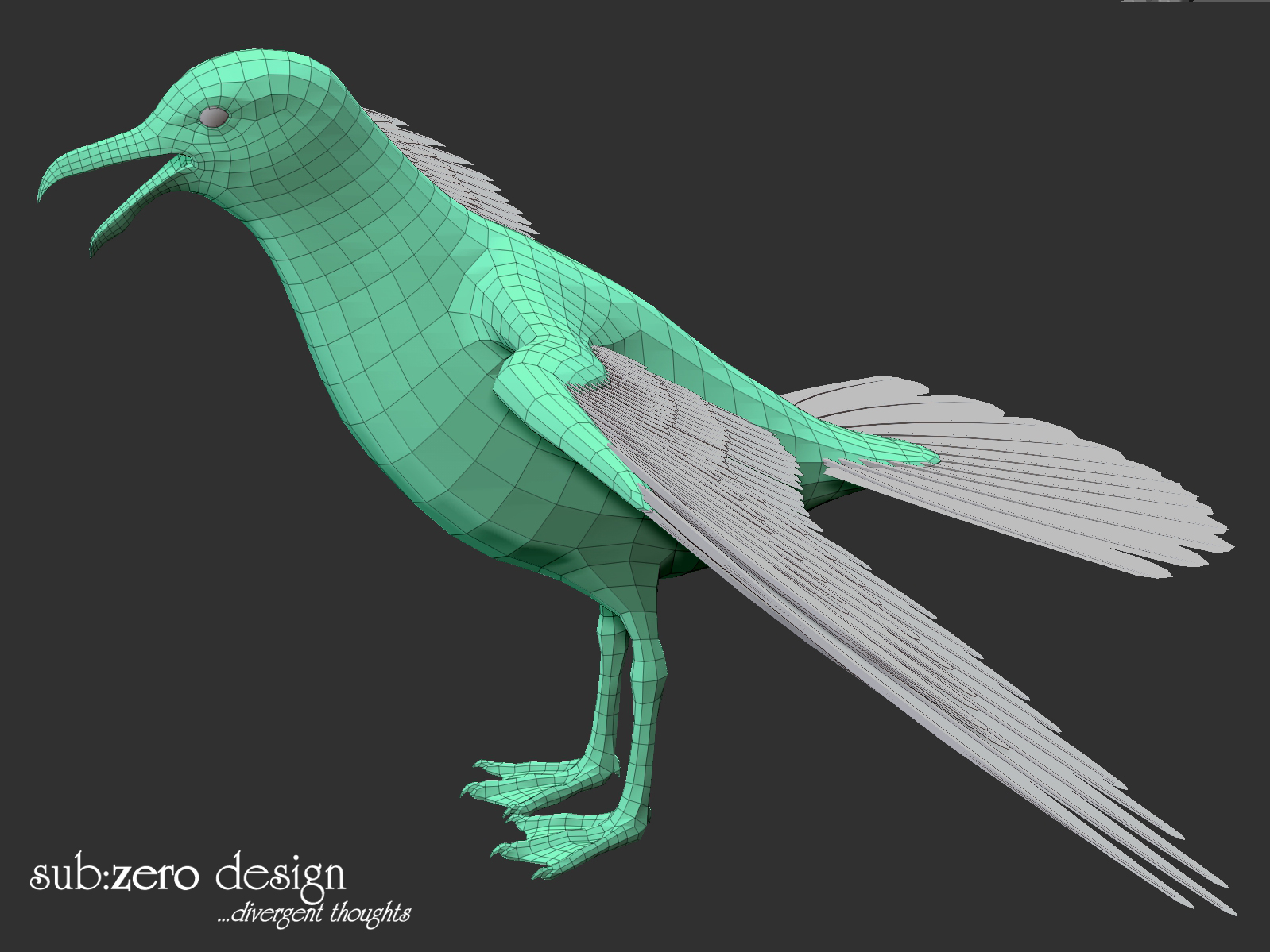 3d-modeling-seagull-wire-b