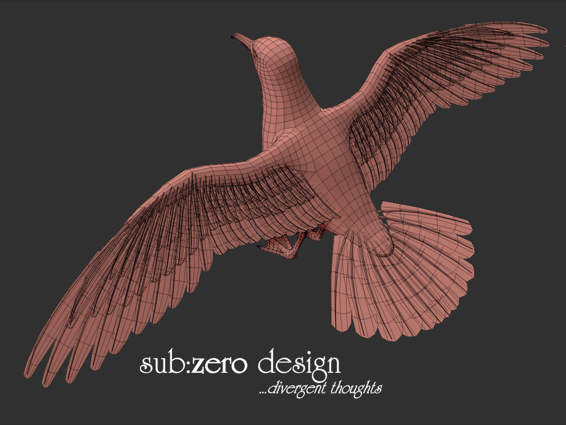3d-modeling-seagull-wire-top